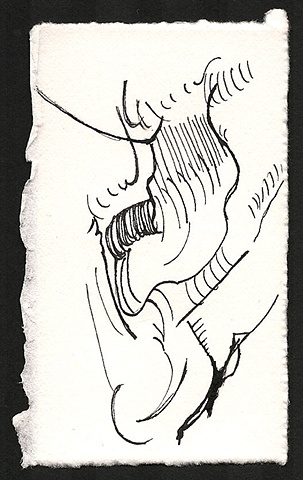 Durer V