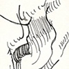 Durer V
