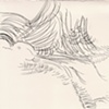 Durer IV