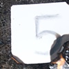 Fibonacci Burn Series Day 5
