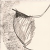 Modigliani VIII