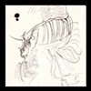 Durer VII