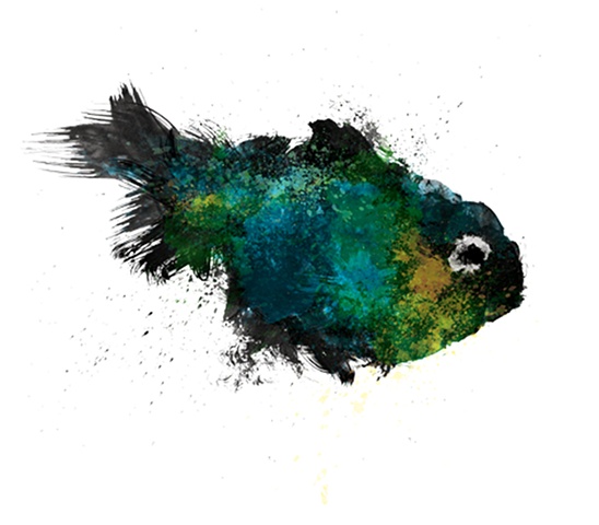 Fathom