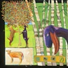 Tote's Goats