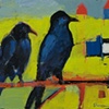 Island Birds