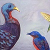 Birds of Great Falls