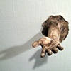 La Mano Derecha