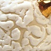 Luster White Crawl Teapots