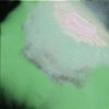 bright light 5