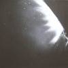 bright light 11