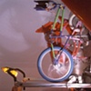 Liza McConnell: "Diorama Obscura: Riding Fences"