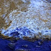 Untitled (December 1, 2008)