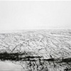 Untitled (field 3)