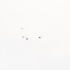 Untitled (Oilspill), November 7, 2007