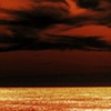 Untitled (June 10, 2008)