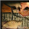 Fragments 1