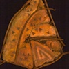 Artefacto