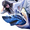 sharky attack