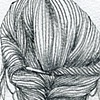 braid study