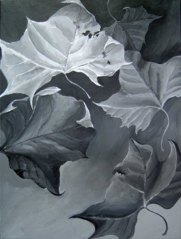 Five Leaves