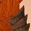 Fragment #9: Exodus