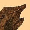 Fragment #2