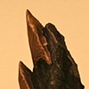 Fragment #1