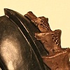 Fragment #5: Symbiosis