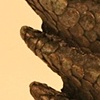 Fragment #2