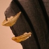 Fragment #8: Strife