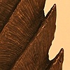 Fragment #1