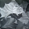 Five Leaves