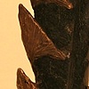 Fragment #1