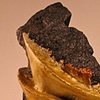 Fragment #8: Strife