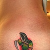 Brad's Cactus - there's more on my blog!