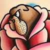Bulldog Rose