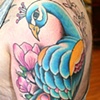 Rob's (in progress)