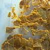 SPAM/MAPS: World (Detail)