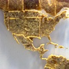 SPAM/MAPS: World (Detail)