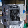 Valencia Street Posts (Detail)