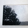 selected pages from cycles of aversion