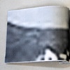 selected pages from cycles of aversion