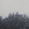 Landscapes From Her Life