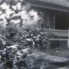 Landscapes From Her Life