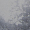 Landscapes From Her Life