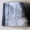 selected pages from cycles of aversion