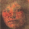 Scar 