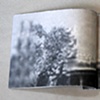 selected pages from cycles of aversion