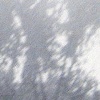 Landscapes From Her Life