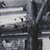 Landscapes From Her Life